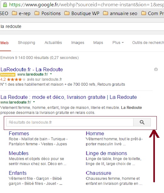 exemple google search box